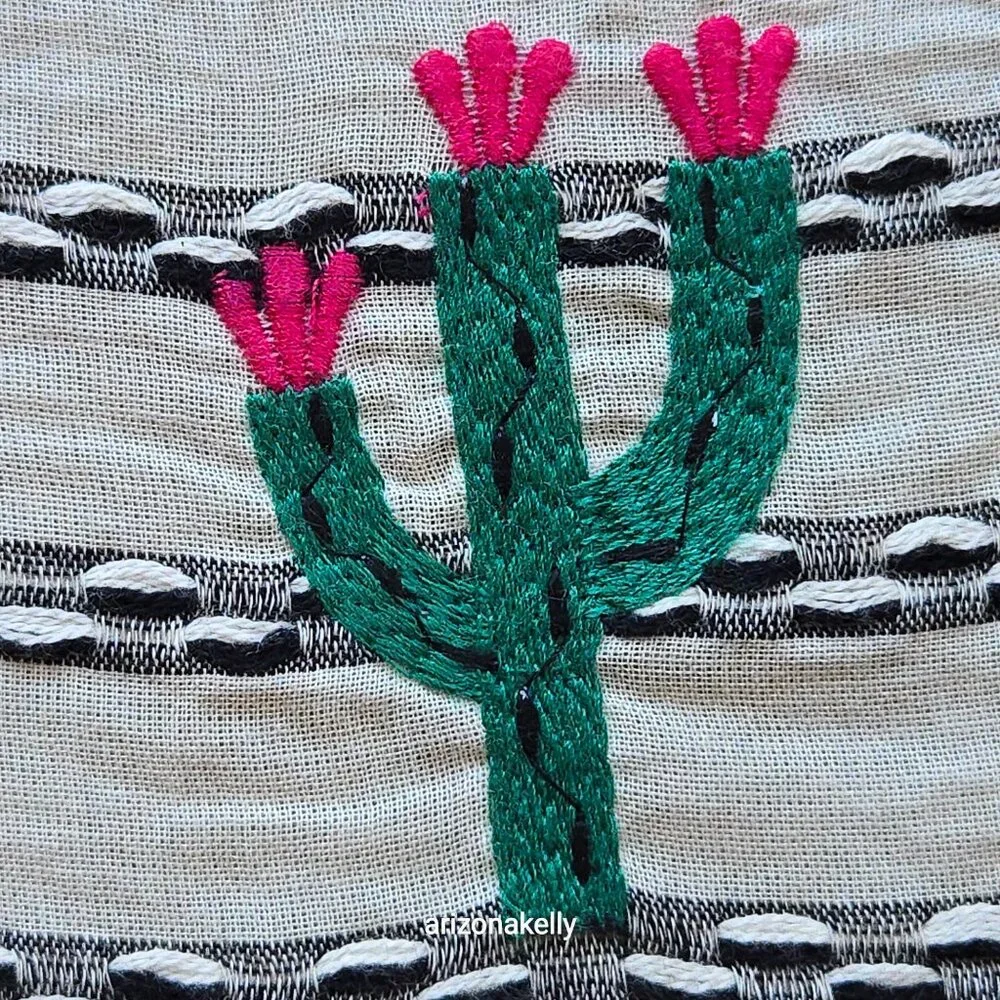 NWT RARE Anthropologie Embroidered Cactus Scarf